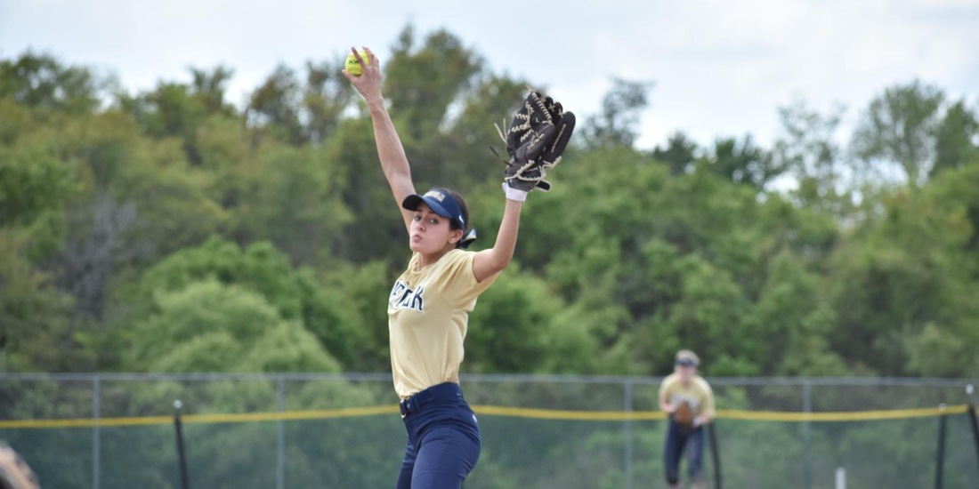 Gettysburg Downs Softball, 3-0&nbsp;
