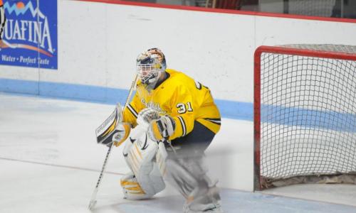 Hockey Falls to Wentworth, 5-1