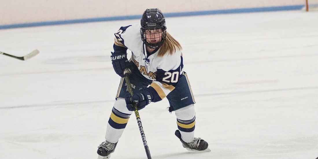 Endicott Sneaks Past Women&rsquo;s Hockey, 2-1