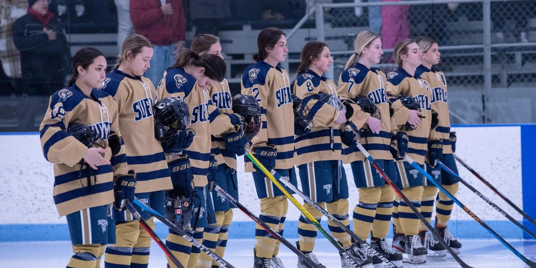 Endicott Edges Women&rsquo;s Hockey, 1-0