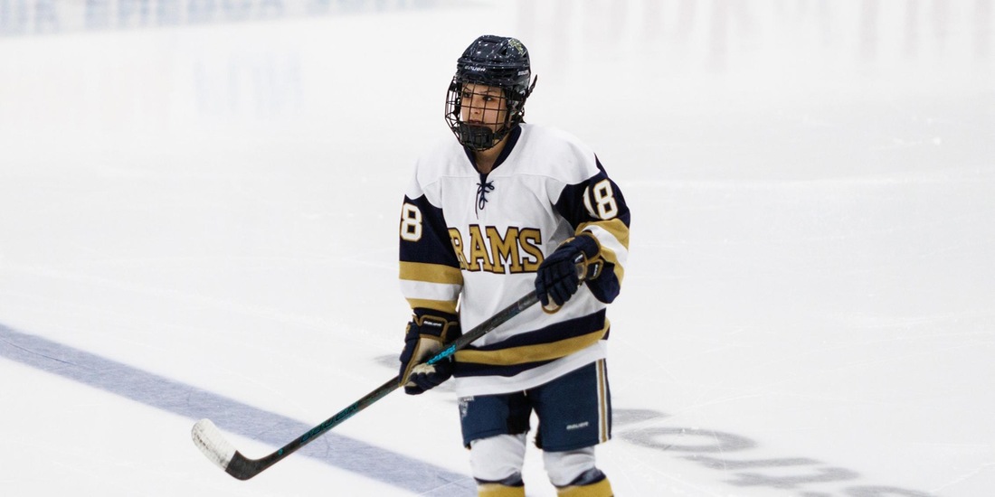 Women&rsquo;s Hockey Falls in Regular Season Finale to WNE, 4-2