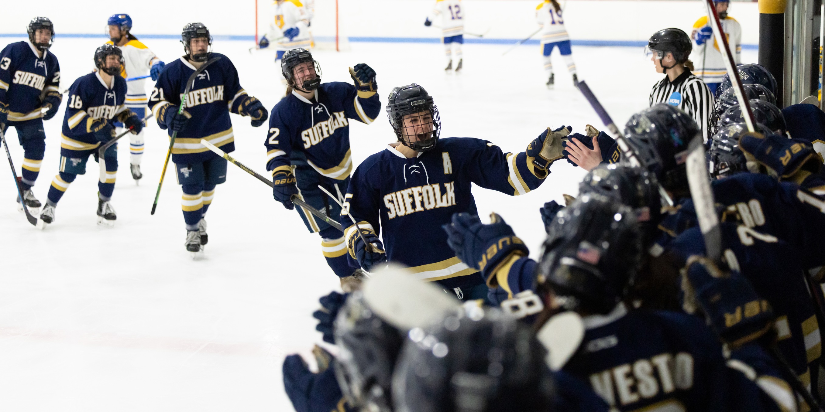 Women&rsquo;s Hockey Moves On, Defeats WNE in CNE First Round, 4-1