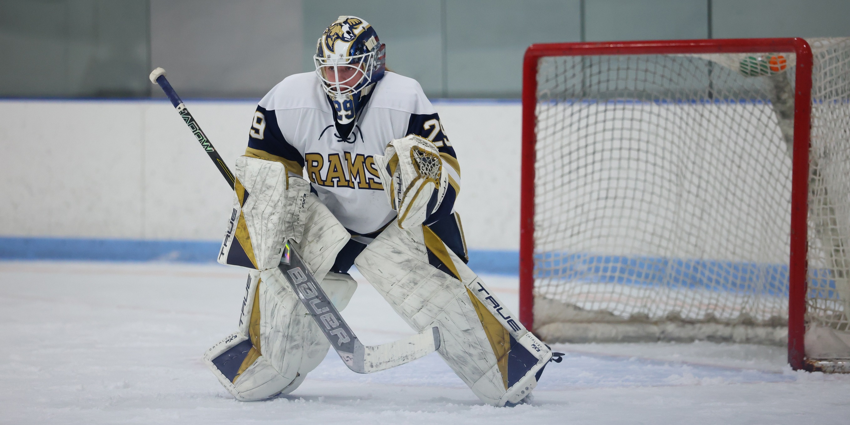 Michals Records 1,000th Save, Women&rsquo;s Ice Hockey Tops WNE, 4-2