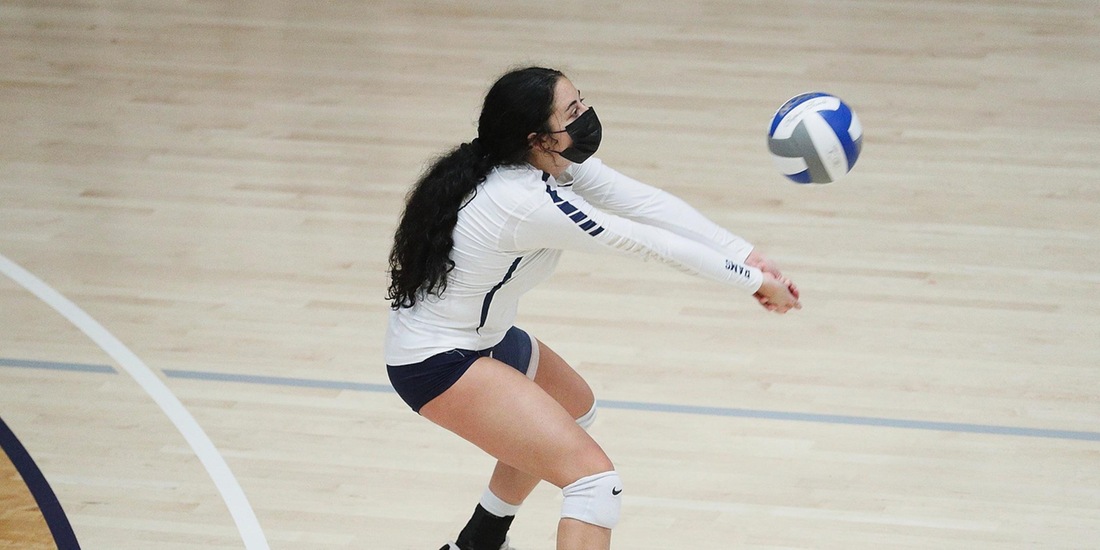 Volleyball Stumped at No. 10 MIT in Straight Sets